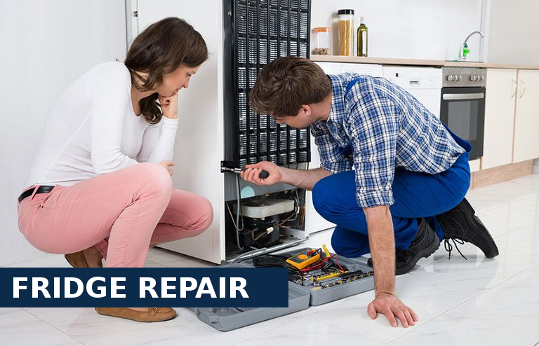 Fridge Repair Southgate